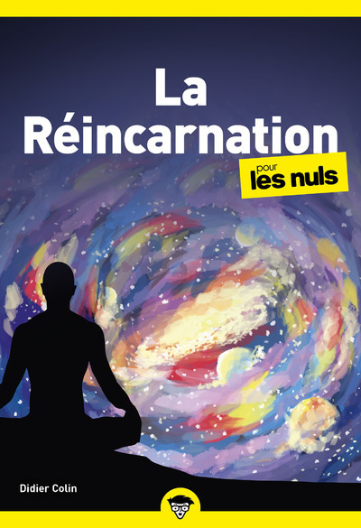 La réincarnation pour les Nuls, poche