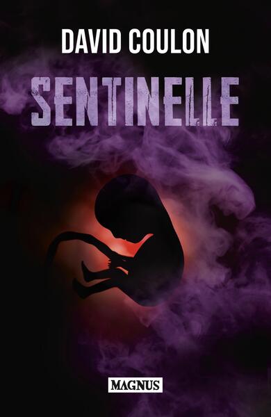 Sentinelle - David Coulon