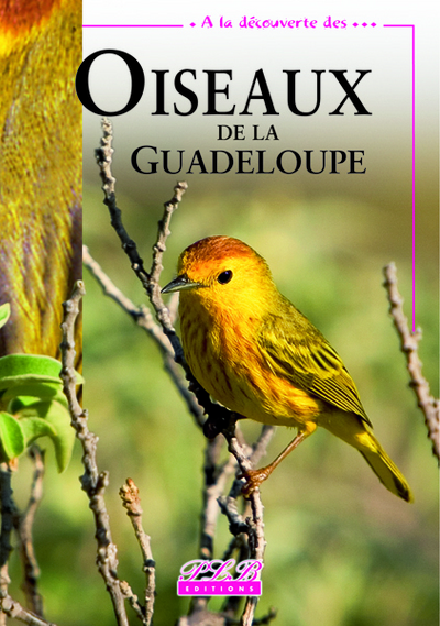 Oiseaux de la Guadeloupe - Patricia Hautcastel