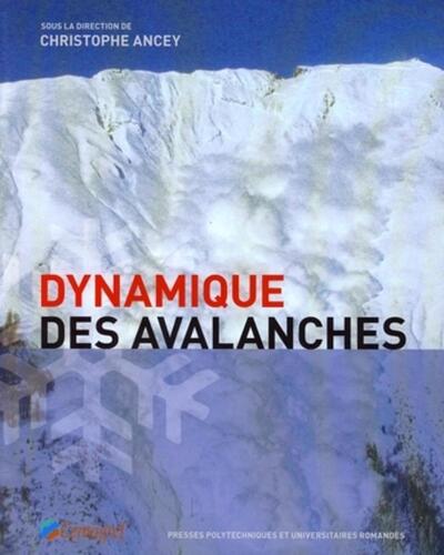 Dynamique des avalanches