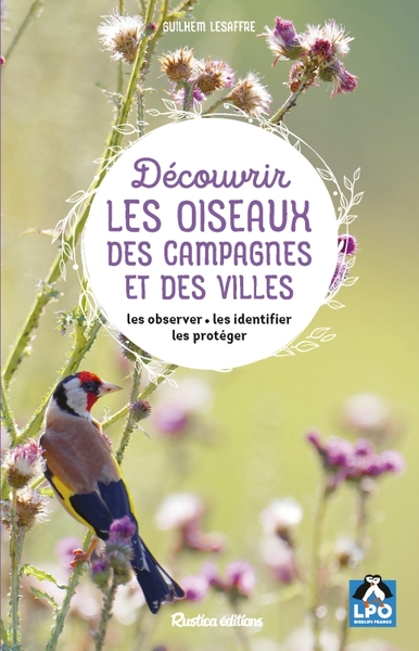 Découvrir Les Oiseaux Des Campagnes Et Des Villes