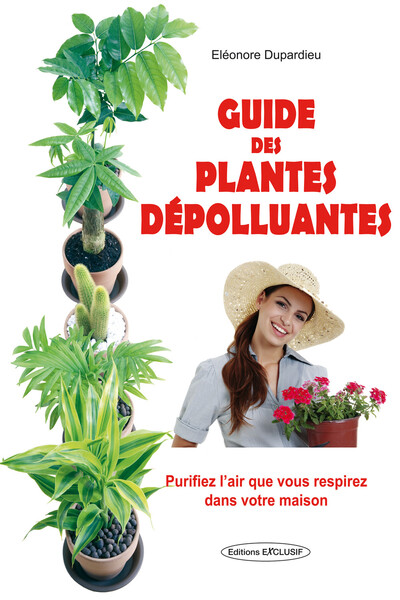 Guide des plantes dépolluantes