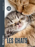 Les Chats - Mille et un docs