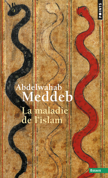 La Maladie de l'islam - Abdelwahab Meddeb