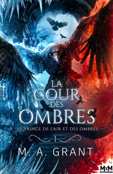 La Cour des Ombres Volume 1