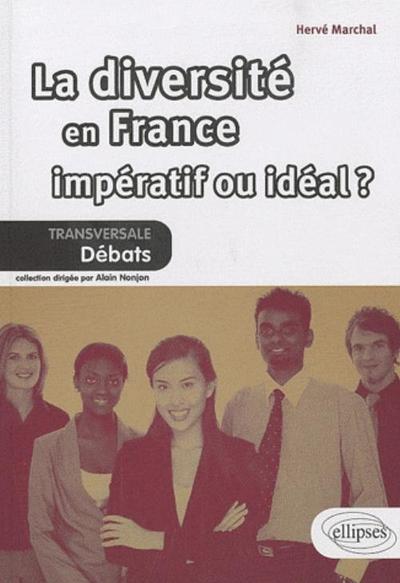 La Diversité En France : Impératif Ou Idéal ?