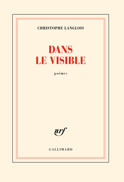 Dans le visible - Christophe Langlois