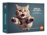 Agenda - Calendrier Drôles de chats 2025