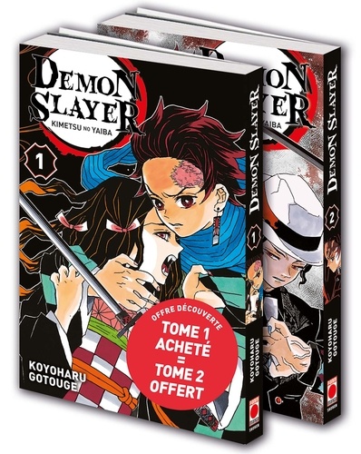 Demon Slayer Volume 1