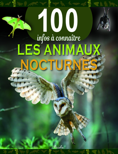 Les animaux nocturnes - 100 infos à connaître