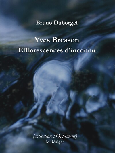 Efflorescences D'Inconnu - Bruno Duborgel