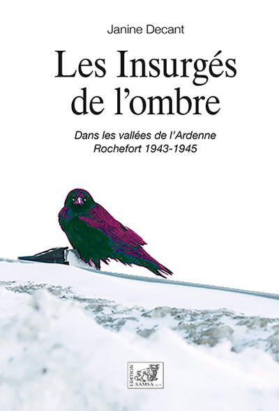 Les Insurgés De L’Ombre, Offensive Des Ardennes 1943-1945