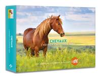 Agenda - Calendrier Chevaux 2025 - 