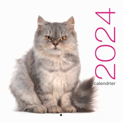 Calendrier mural 2024 Chats - Collectif