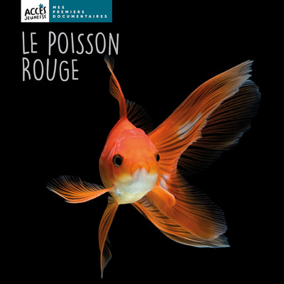 Le poisson rouge - Léa SCHNEIDER