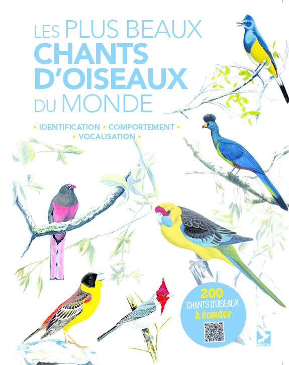 Les Plus Beaux Chants D'Oiseaux Du Monde, Identification, Comportement, Vocalisation