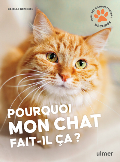 Pourquoi mon chat fait-il ça?