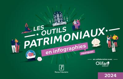 Les outils patrimoniaux en infographies pratiques 2024