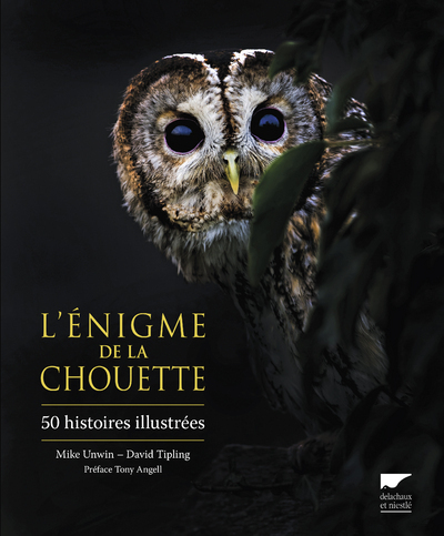 L'énigme de la chouette