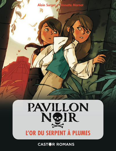 Pavillon noir Volume 4