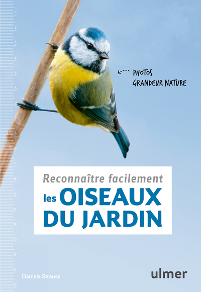 Reconnaître facilement les oiseaux du jardin - Photos grandeur nature