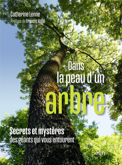 Dans la peau d'un arbre