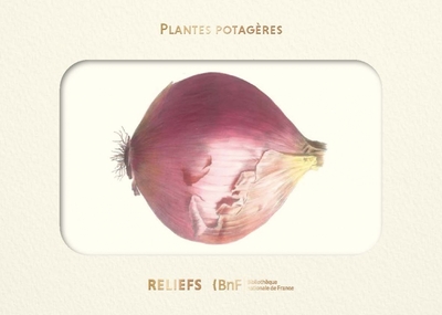 Livre d'images - Plantes potagères - Elisa CHAMPIN, Joséphine COUTANCE