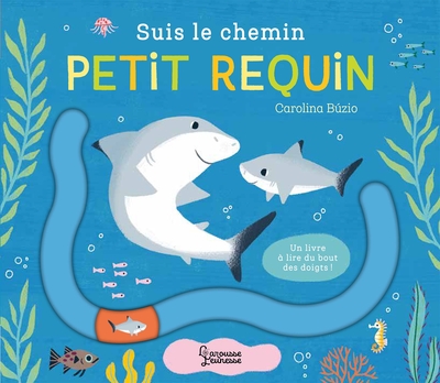 Suis le chemin petit requin