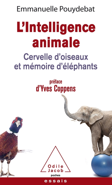 L'Intelligence Animale / Cervelle D'Oiseaux Et Mémoire D'Éléphants, Cervelle D'Oiseaux Et Mémoire D'Éléphants - Emmanuelle Pouydebat