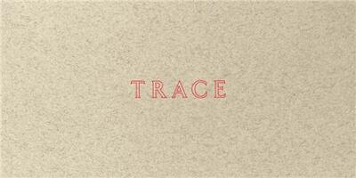 Jenny Holzer: Trace /anglais