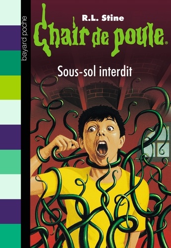 Chair de poule Volume 17 - R.L Stine