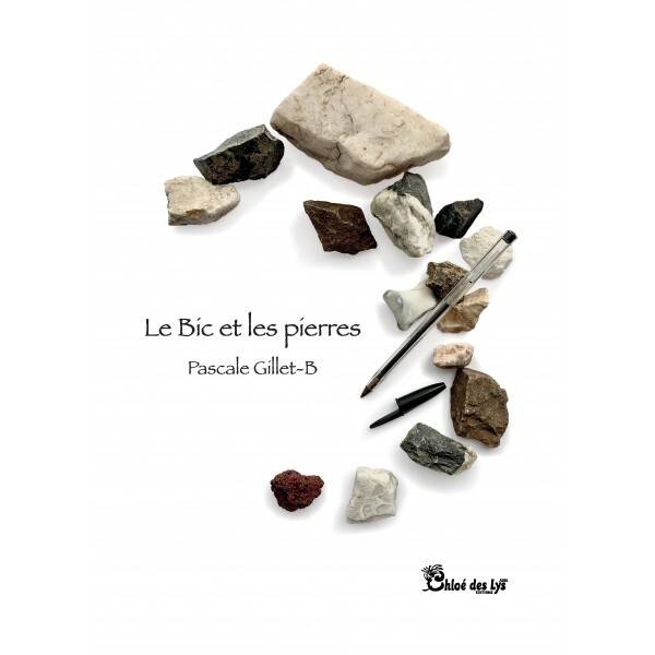 Le Bic et les pierres - Pascale Gillet-B