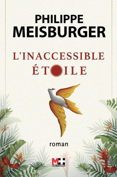 L'Inaccessible Étoile