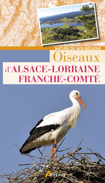 Oiseaux d'Alsace-Lorraine, Franche-Comté - Losange