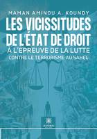 Les vicissitudes de l'État de droit à l'épreuve de la lutte contre le terrorisme au Sahel