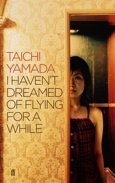 I Haven't Dreamed of Flying for a While - Yamada, Taichi