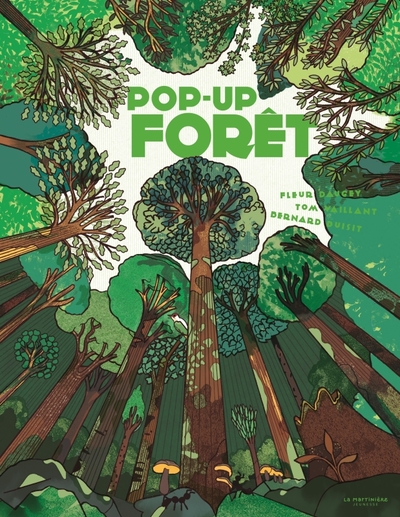 Pop-Up Forêt - Fleur Daugey, Bernard Duisit