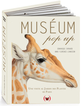 Muséum pop up