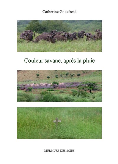 Couleur savane, après la pluie - Catherine Godefroid