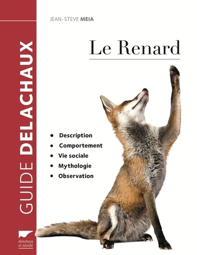 Le Renard - Jean-Steve Meia