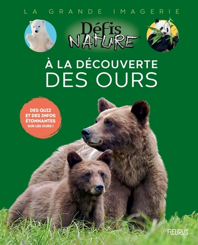 À la découverte des ours