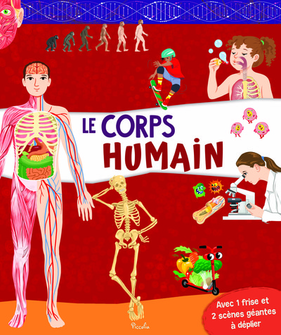 Le corps humain