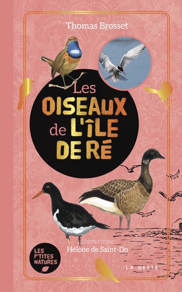 Les oiseaux de lîle de Ré