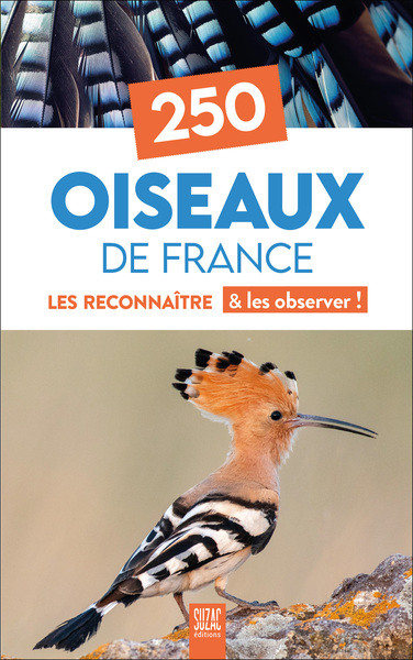 250 Oiseaux de France