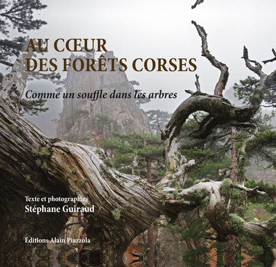 Au coeur des forêts corses