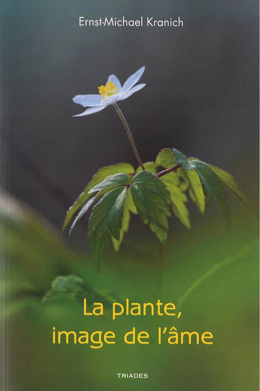 La Plante, Image De L'Âme, Metamorphoses Phiysionimoques