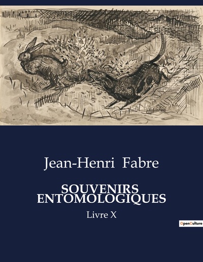 Souvenirs  Entomologiques - Jean-Henri Fabre