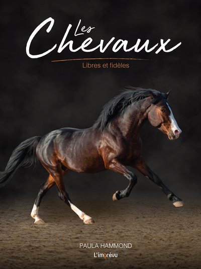 Les chevaux - Paula Hammond