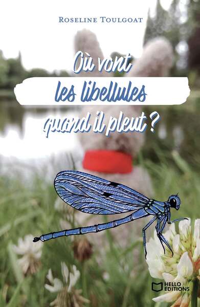 Où vont les libellules quand il pleut ?