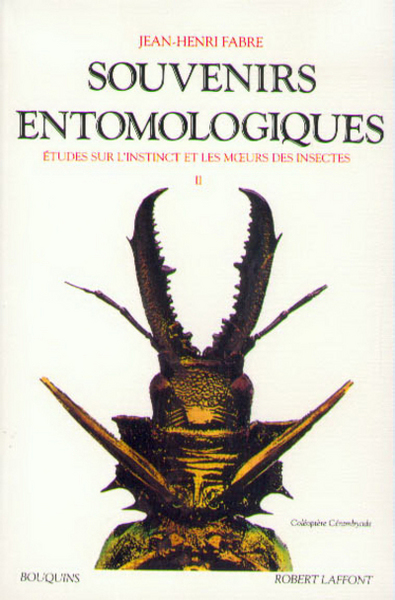 Souvenirs entomologiques - Etudes sur l'instinct et les moeurs des insectes Volume 2